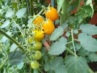 20190809_102216_resized.webp 20190809_102216_resized.webp