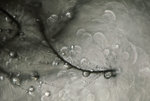 0M3A1224.jpg