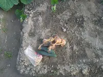 IMG_20190809_194122.webp
