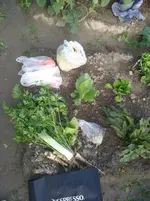 IMG_20190809_194136.webp