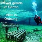 FB_IMG_1558514408304.jpg