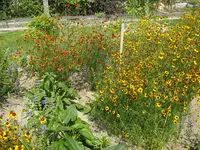 26_07_2019 (16).webp