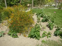 26_07_2019 (30).webp