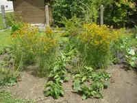 16_07_2019 (28).webp