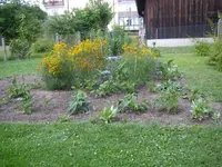 16_07_2019 (41).webp