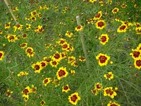 14_07_2019 (13).webp