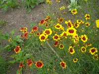 14_07_2019 (14).webp