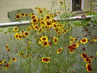 09_07_2019 (50).webp