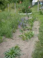 09_07_2019 (58).webp