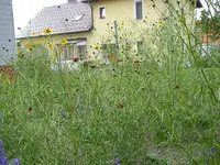 09_07_2019 (66).webp