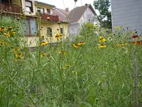 09_07_2019 (83).webp