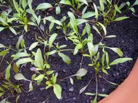 23_05_2019 (80).webp