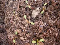 03_04_2019 (10).webp