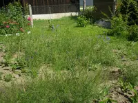 03_07_2019 (48).webp