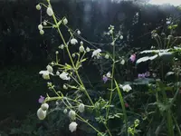DSCF2708.webp