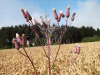 DSCF2723.webp