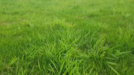 WhatsApp Image 2019-08-10 at 11.41.19.webp