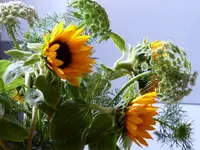 P1060395.webp P1060395.webp