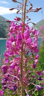 20190810_120825.webp