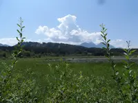 SAM_1097.webp