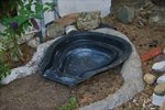 DSC08188.JPG