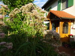 DSC00568.JPG