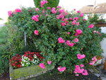 DSC00570.JPG