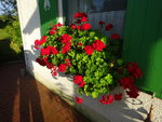DSC00571.JPG
