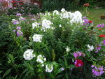 DSC00572.JPG