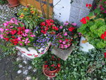 DSC00574.JPG
