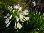 DSC00576.JPG