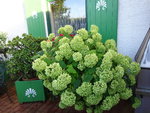 DSC00578.JPG
