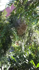 20190811_122101.webp