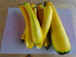 DSC00580.JPG