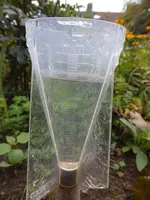 P1130815Regen Freitag.webp