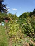 P1130842Blumenkannte.JPG