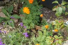 DSC08201.JPG