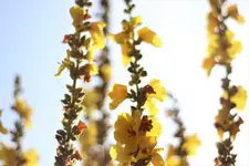 image004.webp