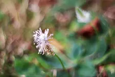image007.webp