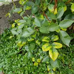 20190812_151803.webp