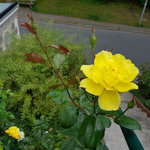 20190812_151909.jpg