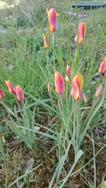 IMG_20190422_165823.jpg