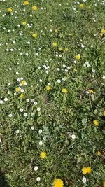 IMG_20190501_121049.jpg