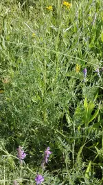 IMG_20190613_163345.jpg