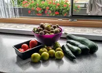 IMG_20190813_085353036_HDR.webp