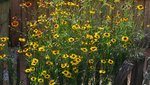 DSC00362.jpg