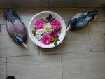 DSC00581.JPG