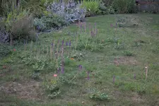 image001.webp image001.webp