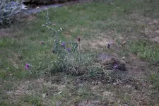 image002.webp image002.webp