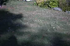 image003.webp image003.webp